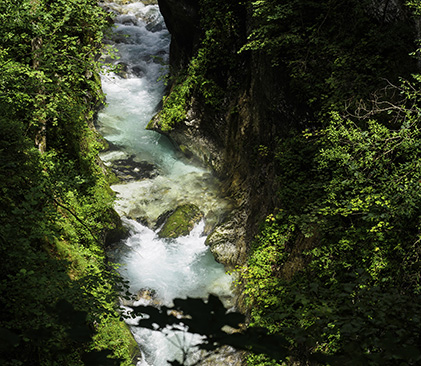 Nature et paysages en Slovénie - TLiebenguth