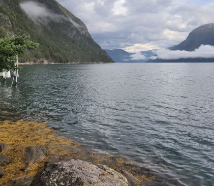 Les rives du plus grand Fjord de Norvège