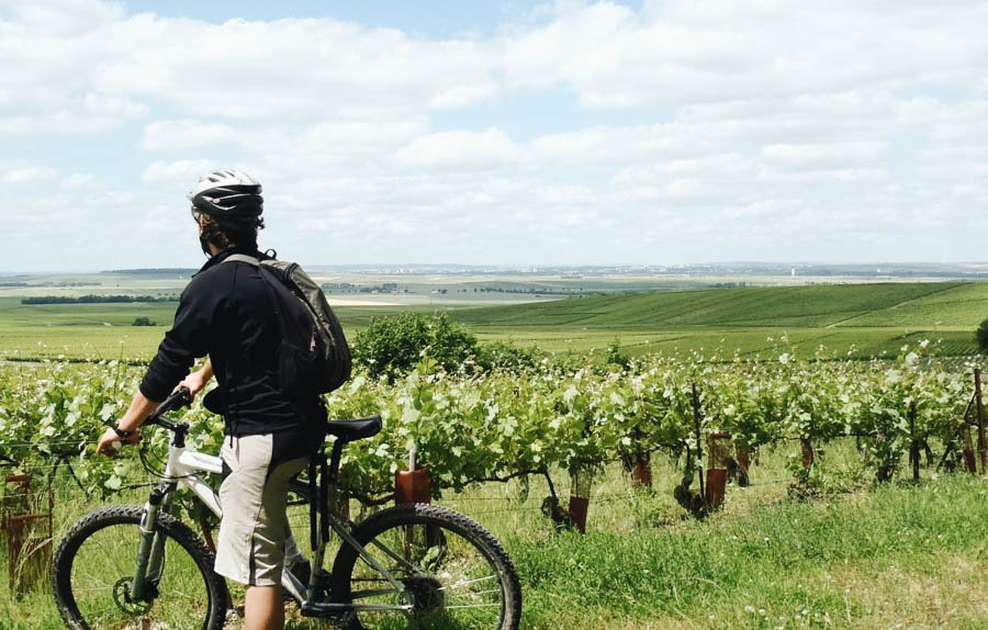 Voyage France Vignoble De Champagne Et Montagne De