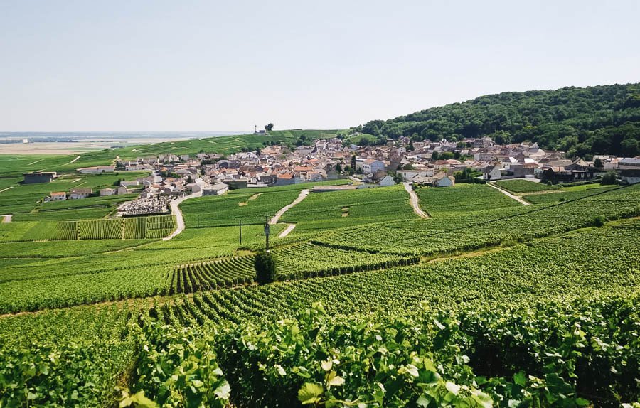 Voyage France Vignoble De Champagne Et Montagne De