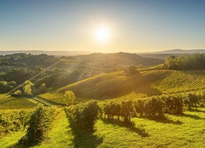 Paysage du Chianti, Toscane nature